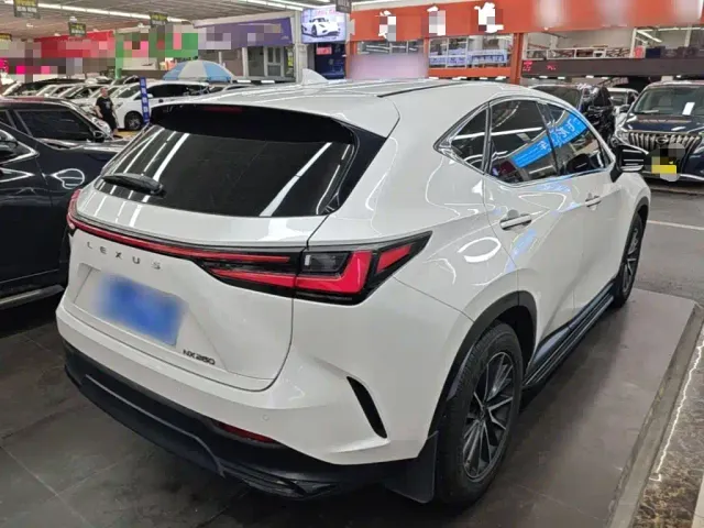 Lexus NX — Фото автомобиля 6