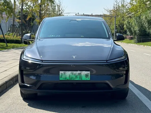 Tesla Model Y — Фото автомобиля 2