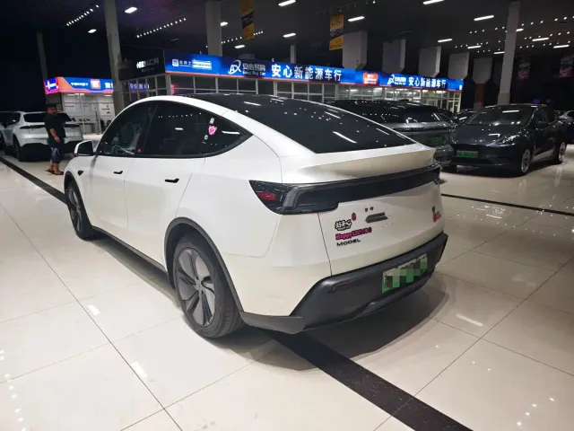 Tesla Model Y — Фото автомобиля 3