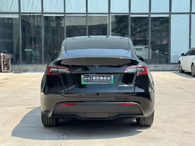 Tesla Model Y — Фото автомобиля 17