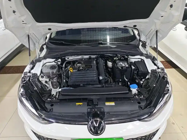 Volkswagen Lamando — Фото автомобиля 19