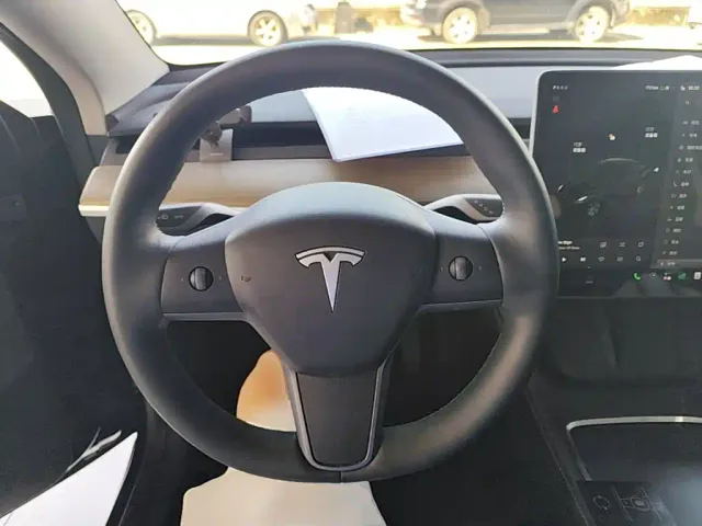 Tesla Model Y — Фото автомобиля 10
