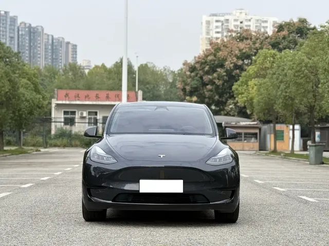Tesla Model Y — Фото автомобиля 2