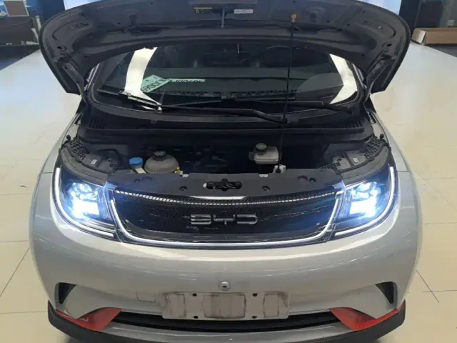 BYD Dolphin — Фото автомобиля 19