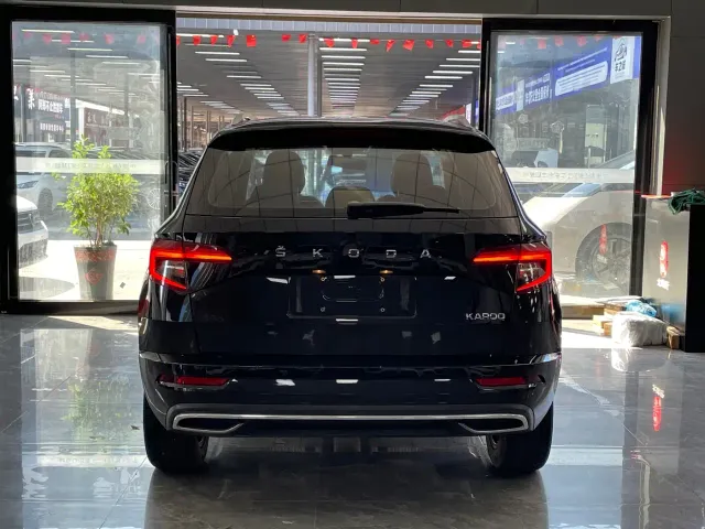 Skoda Karoq — Фото автомобиля 16