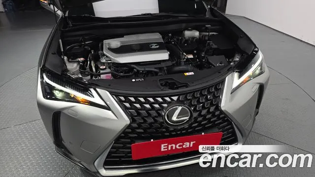 Lexus UX UX250h — Фото автомобиля 9