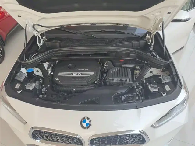 BMW X2 — Фото автомобиля 19