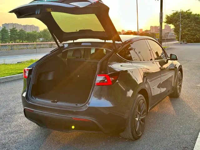 Tesla Model Y — Фото автомобиля 6