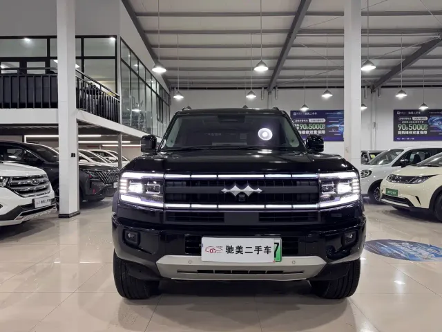 BYD FangChengBao Leopard 5 — Фото автомобиля 2