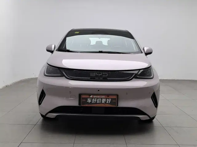 BYD Dolphin — Фото автомобиля 3
