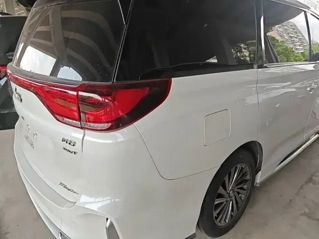 GAC Trumpchi M8 — Фото автомобиля 23