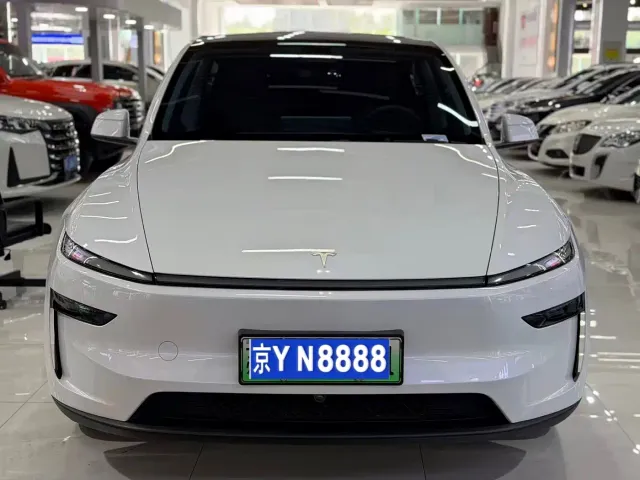 Tesla Model Y — Фото автомобиля 2