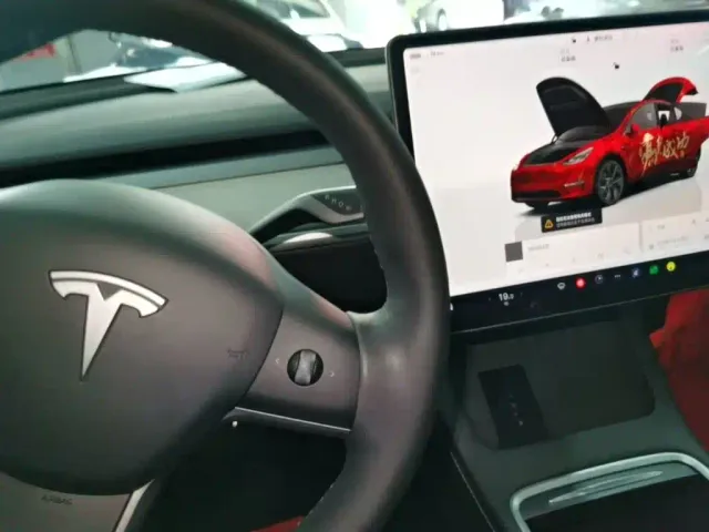 Tesla Model Y — Фото автомобиля 13