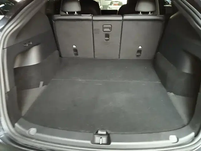 Tesla Model Y — Фото автомобиля 18