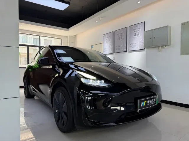 Tesla Model Y — Фото автомобиля 3