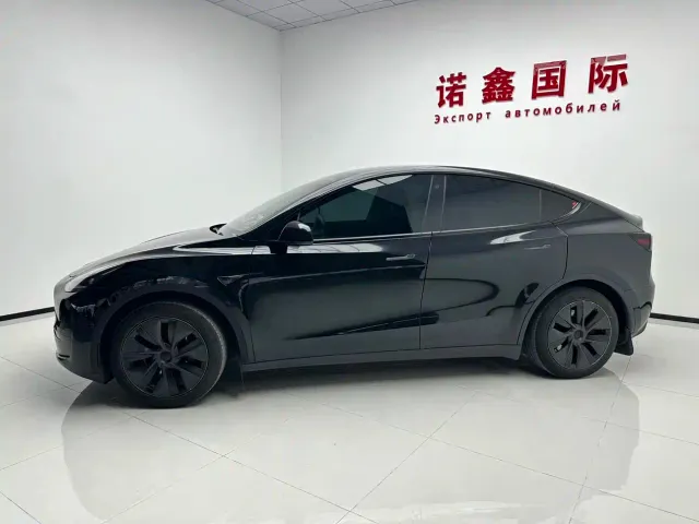 Tesla Model Y — Фото автомобиля 3