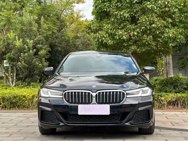 BMW 5 Series — Фото автомобиля 2
