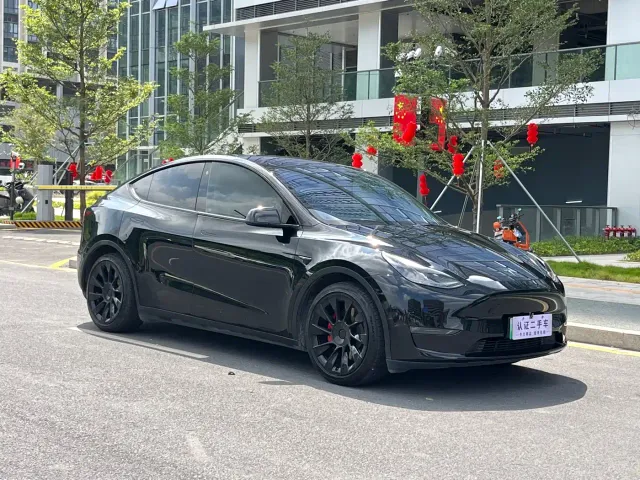 Tesla Model Y — Фото автомобиля 3