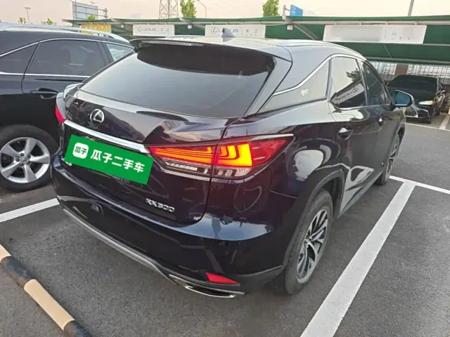 Lexus RX — Фото автомобиля 6