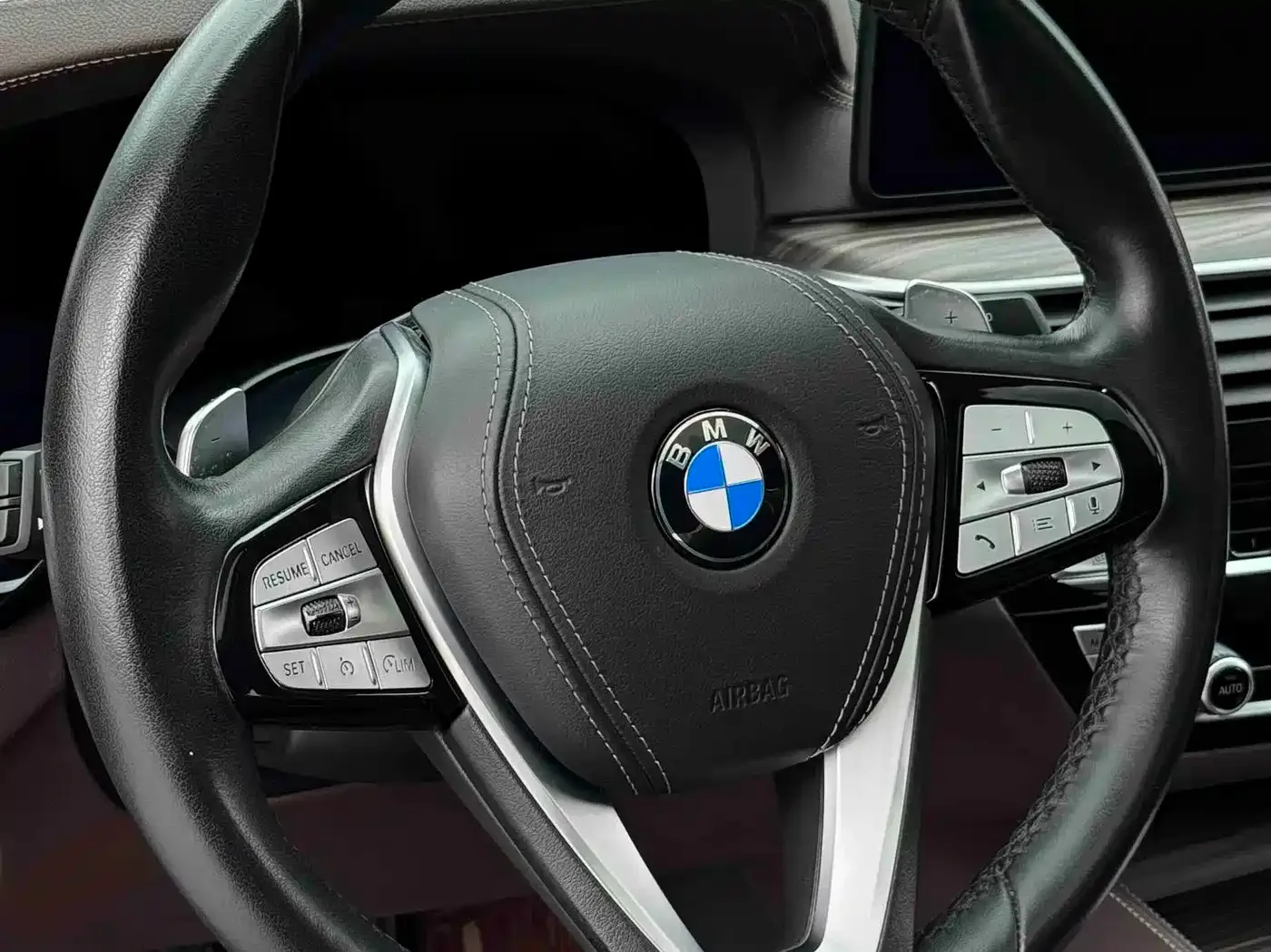 BMW BMW 5 Series 2021 530Li Leading Luxury Package — Фото автомобиля 13
