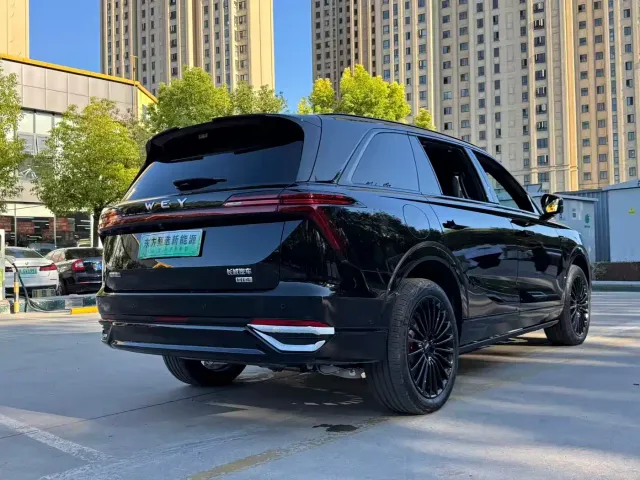 Wey Lanshan — Фото автомобиля 15