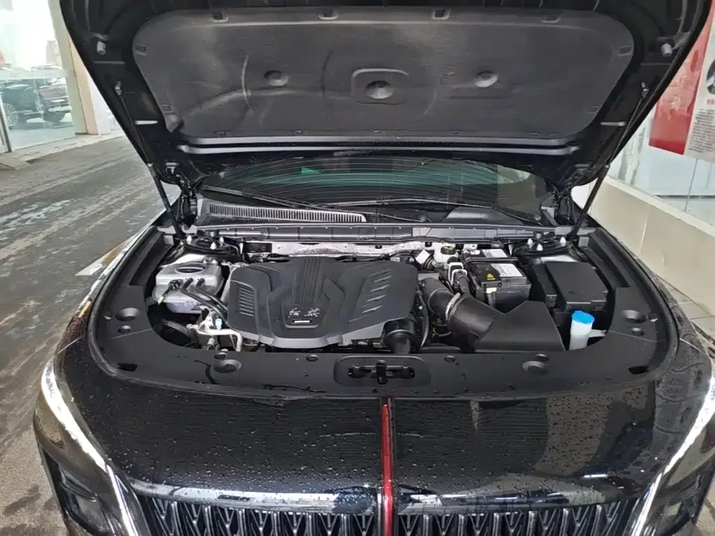 Hongqi Hongqi H5 2025 1.5T DCT Mystic Shadow 2 Million Edition — Фото автомобиля 19