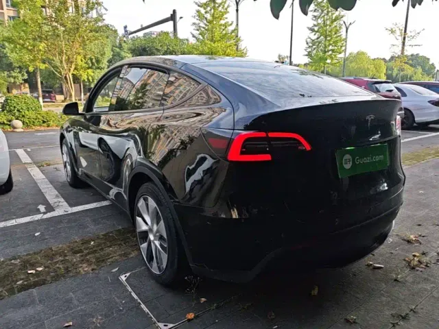 Tesla Model Y — Фото автомобиля 4