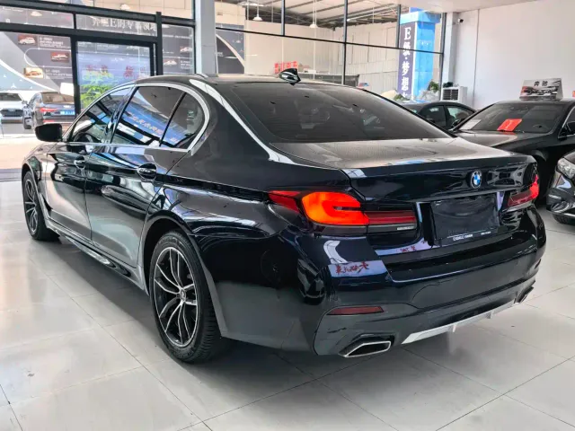 BMW 5 Series — Фото автомобиля 8