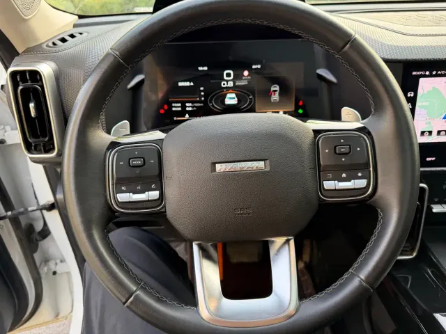 Haval Big Dog — Фото автомобиля 13