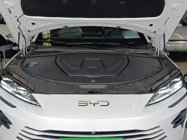 BYD Song PLUS — Фото автомобиля 19