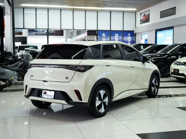 BYD Dolphin — Фото автомобиля 14