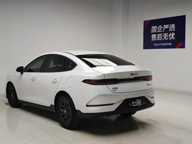 BYD Qin PLUS — Фото автомобиля 6