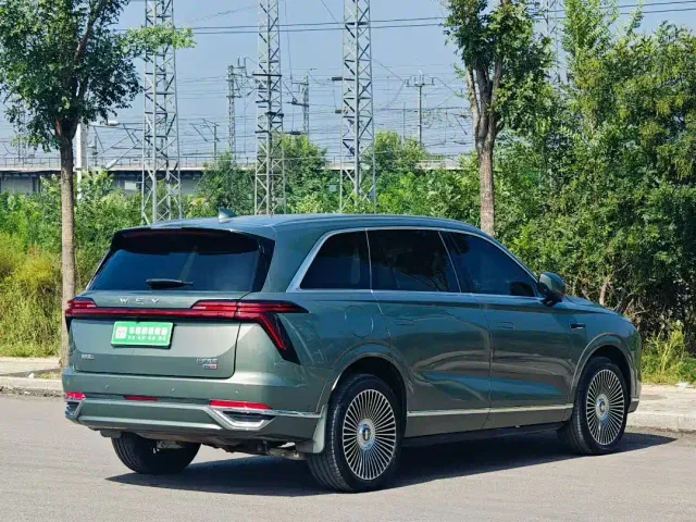Wey Lanshan — Фото автомобиля 6
