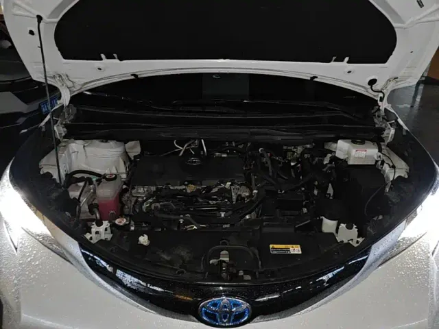 Toyota Sienna — Фото автомобиля 19