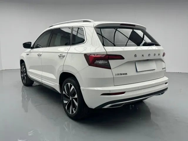 Skoda Karoq — Фото автомобиля 16