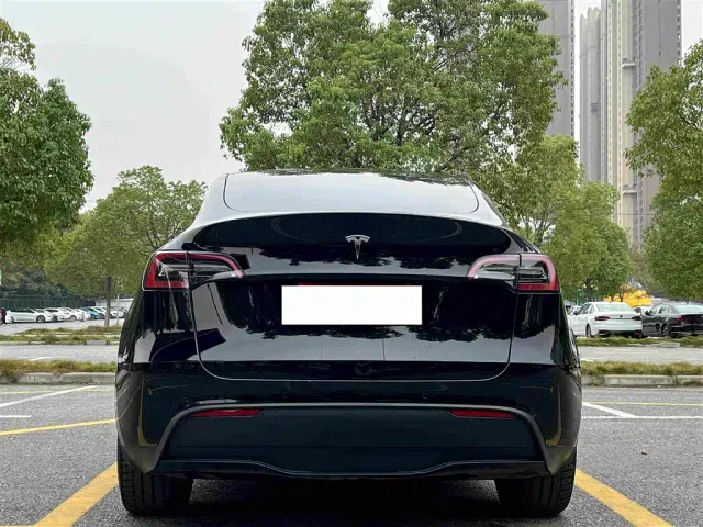 Tesla Model Y — Фото автомобиля 11