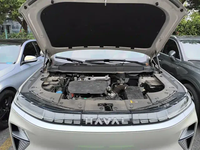 Haval Xiaolong MAX — Фото автомобиля 19