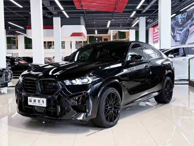 Фотография автомобиля — BMW X6 M