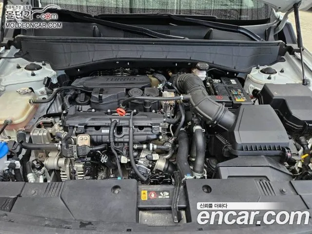 Hyundai Kona Kona (SX2) Бензин 1.6 турбо 2WD — Фото автомобиля 6