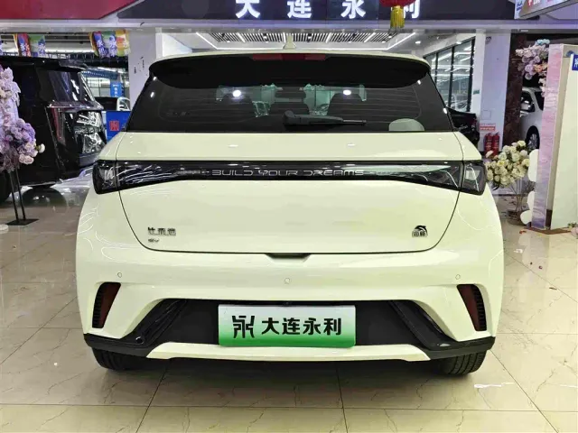 BYD Dolphin — Фото автомобиля 14