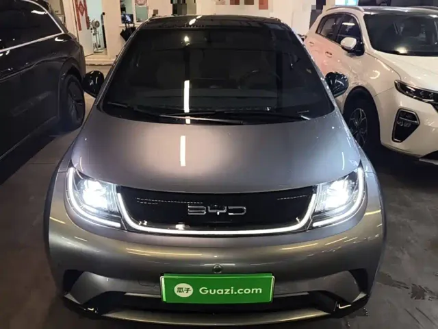BYD Dolphin — Фото автомобиля 2