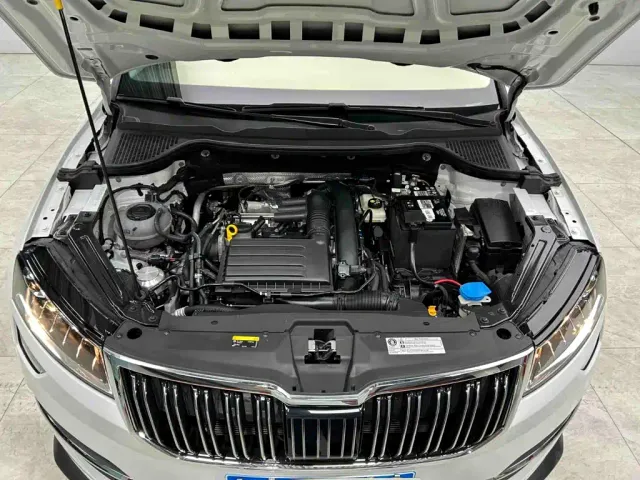 Skoda Karoq — Фото автомобиля 26