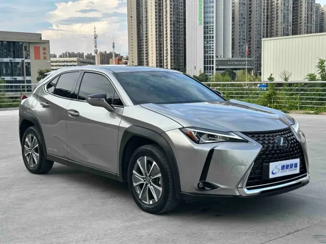 Lexus Lexus UX Electric 2020 300e Pure Yue Edition — Фото автомобиля 3