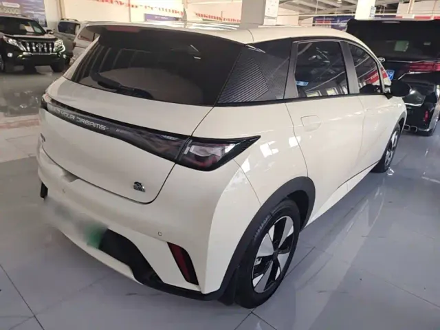 BYD Dolphin — Фото автомобиля 6
