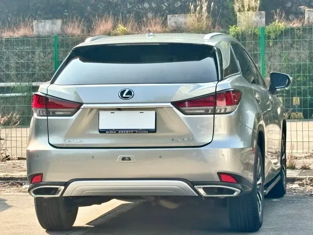 Lexus RX — Фото автомобиля 18