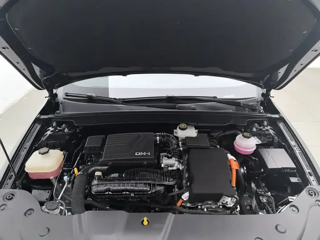 BYD Qin PLUS 2024 Glory Edition DM-i 55KM Leading — Фото автомобиля 6