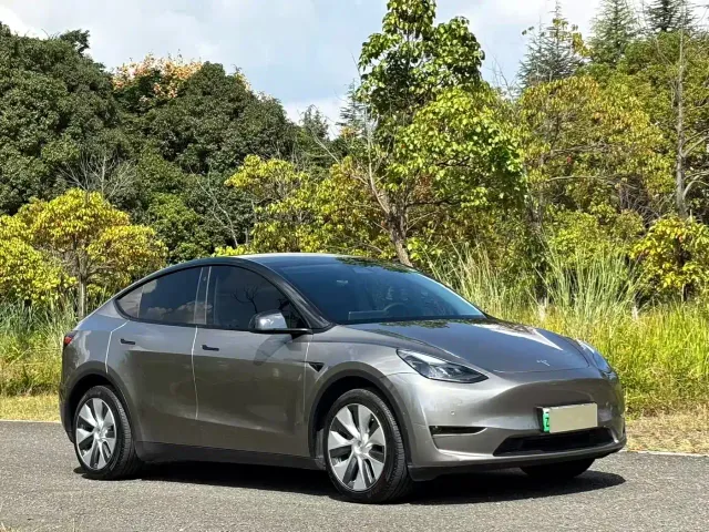 Tesla Model Y — Фото автомобиля 3