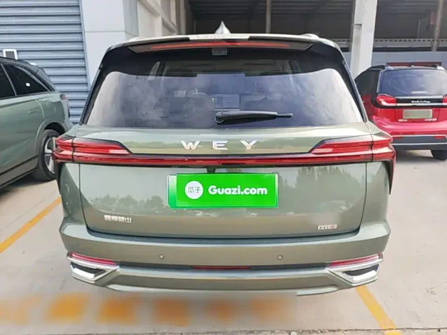 Wey Lanshan — Фото автомобиля 5