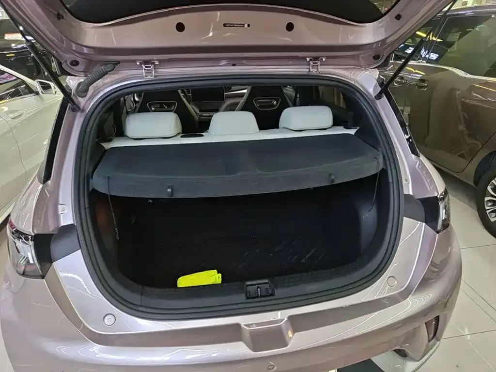 BYD Dolphin 2021 Model 405km Fashion Edition — Фото автомобиля 18