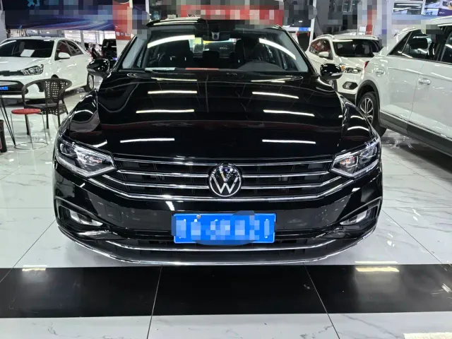Volkswagen Magotan — Фото автомобиля 2